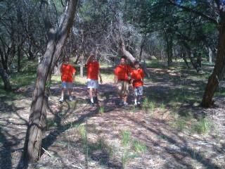 LookingForFirewood.jpg
